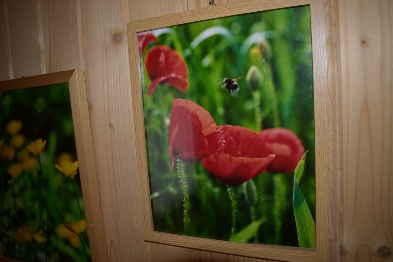 U Wajdy Ciche Małe Exterior foto